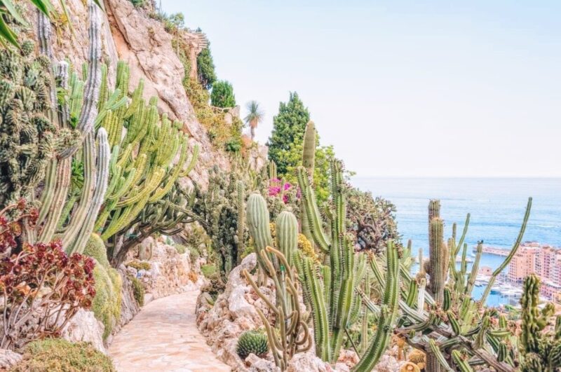Monaco's Parks & Gardens - monaco travel guide jardin exotique